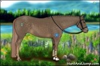 Horse Color:Chocolate Palomino