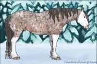 Horse Color:Bay Ice Splash Appaloosa Rabicano
