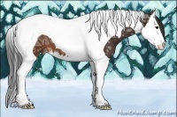 Horse Color:Brown Ice Splash Tobiano 