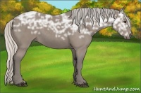Horse Color:Silver Black Ice