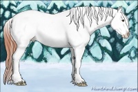 Horse Color:Bay Ice Dun Sabino Appaloosa 