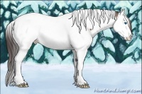 Horse Color:Bay Splash Tobiano Appaloosa 