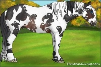 Horse Color:Brown Sabino Splash Tobiano Rabicano 