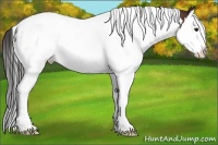 Horse Color:Bay Splash Tobiano Snowcap 