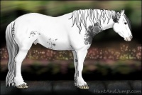 Horse Color:White Spotted Black Ice Splash Tobiano Rabicano