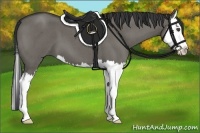 Horse Color:Grullo Roan Splash 