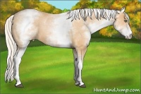 Horse Color:White Spotted Silver Bay Pearl