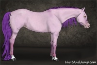 Horse Color:Watercolor Classic Champagne Dun 