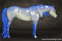 Horse Color:Watercolor White Spotted Buckskin 