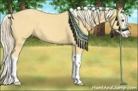Horse Color:Palomino Splash 
