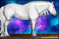Horse Color:Gray Bay Appaloosa 