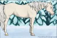 Horse Color:Cremello 