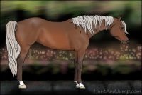 Horse Color:Silver Bay 