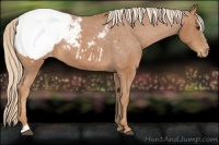 Horse Color:Chestnut Sabino Snowcap 