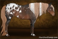 Horse Color:White Spotted Liver Chestnut Blanket 