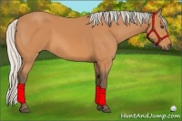 Horse Color:Silver Bay 