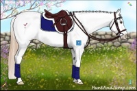 Horse Color:Chestnut Sabino Splash 