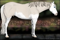 Horse Color:Smoky Creme Roan Splash 