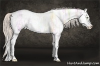 Horse Color:Silver Amber Champagne Ice Dun Splash 