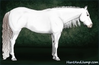 Horse Color:Liver Chestnut Snowflake Varnish