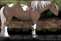 Horse Color:Silver Black Tobiano