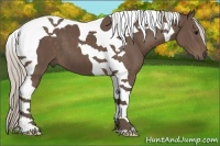 Horse Color:Silver Black Tobiano 
