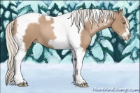 Horse Color:Silver Black Pearl Tobiano Frame 
