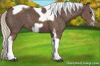 Horse Color:Silver Black Tobiano Frame Rabicano 