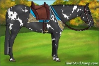 Horse Color:White Spotted Black 