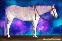 Horse Color:Watercolor White Spotted Bay Dun Splash  and Watercolor White Spotted Bay Dun Splash 
