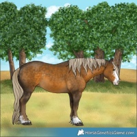Horse Color:Chocolate Palomino Mushroom Sabino Rabicano