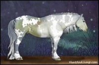 Horse Color:Watercolor White Spotted Liver Chestnut 