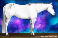 Horse Color:Brown Appaloosa  and Brown Appaloosa 