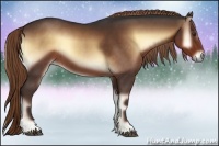 Horse Color:Liver Red Onyx