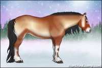 Horse Color:Bay Onyx 
