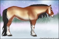 Horse Color:Bay Onyx 