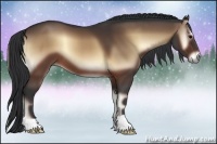 Horse Color:Brown Onyx 