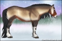 Horse Color:Brown Onyx