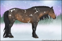 Horse Color:White Spotted Brown 