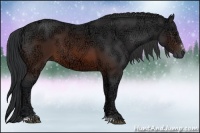 Horse Color:Brown Ice Sabino