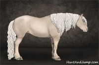 Horse Color:Chocolate Palomino Pearl Sabino