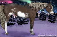 Horse Color:White Spotted Liver Chestnut Frame