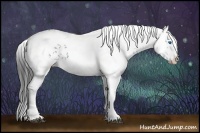 Horse Color:Black Frame