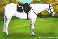 Horse Color:Black Frame 