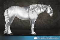 Horse Color:White Spotted Silver Blue Onyx Chinchilla Ice Sabino