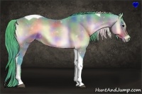 Horse Color:Nacre Watercolor Buckskin Onyx Tobiano 