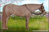 Horse Color:Chestnut Appaloosa Rabicano