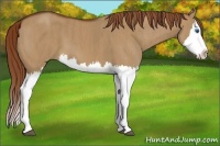 Horse Color:Red Dun Splash  Brindle
