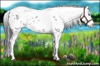 Horse Color:Black Frame 