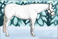 Horse Color:Nacre White Spotted Buckskin Splash Blanket  and Nacre White Spotted Buckskin Splash Blanket 